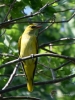 Filename=512_fotowilga~17.JPG
Filesize=277KB
Dimensions=525x700
Date added=Jun 14, 2019 512_fotowilga~17.JPG