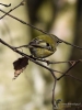 Filename=513_fotowilga~15.JPG
Filesize=215KB
Dimensions=525x700
Date added=Mar 16, 2019 513_fotowilga~15.JPG