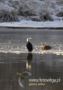 514_fotowilga~10.JPG