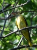 Filename=515_fotowilga~2.JPG
Filesize=310KB
Dimensions=525x700
Date added=Jun 15, 2019 515_fotowilga~2.JPG
