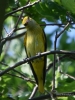 Filename=517_fotowilga~19.JPG
Filesize=299KB
Dimensions=525x700
Date added=Jun 14, 2019 517_fotowilga~19.JPG