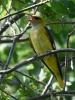Filename=518_fotowilga~3.JPG
Filesize=321KB
Dimensions=525x700
Date added=Jun 18, 2019 518_fotowilga~3.JPG