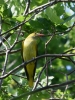 Filename=519_fotowilga~14.JPG
Filesize=314KB
Dimensions=525x700
Date added=Jun 18, 2019 519_fotowilga~14.JPG