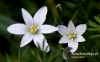Filename=520_fotowilga~13.JPG
Filesize=79KB
Dimensions=640x398
Date added=Mar 02, 2017 520_fotowilga~13.JPG