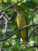 Filename=522_fotowilga~1.JPG
Filesize=305KB
Dimensions=525x700
Date added=Jun 19, 2019 522_fotowilga~1.JPG