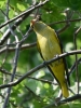 Filename=523_fotowilga~17.JPG
Filesize=300KB
Dimensions=525x700
Date added=Jun 15, 2019 523_fotowilga~17.JPG