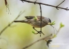 Filename=523_fotowilga~2.JPG
Filesize=85KB
Dimensions=720x514
Date added=Mar 23, 2014 523_fotowilga~2.JPG