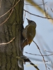 Filename=523_fotowilga~4.JPG
Filesize=78KB
Dimensions=360x480
Date added=Jan 18, 2016 523_fotowilga~4.JPG