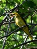 Filename=526_fotowilga~17.JPG
Filesize=324KB
Dimensions=525x700
Date added=Jun 17, 2019 526_fotowilga~17.JPG