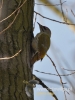 Filename=526_fotowilga~7.JPG
Filesize=77KB
Dimensions=360x480
Date added=Jan 30, 2016 526_fotowilga~7.JPG