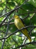 Filename=527_fotowilga~16.JPG
Filesize=308KB
Dimensions=525x700
Date added=Jun 14, 2019 527_fotowilga~16.JPG