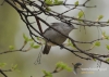 Filename=527_fotowilga~2.JPG
Filesize=319KB
Dimensions=720x514
Date added=Jul 27, 2014 527_fotowilga~2.JPG