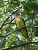 Filename=534_fotowilga~5.JPG
Filesize=328KB
Dimensions=525x700
Date added=Jun 20, 2019 534_fotowilga~5.JPG