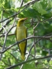Filename=535_fotowilga~16.JPG
Filesize=317KB
Dimensions=525x700
Date added=Jun 18, 2019 535_fotowilga~16.JPG