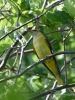 Filename=539_fotowilga~7.JPG
Filesize=322KB
Dimensions=525x700
Date added=Jun 19, 2019 539_fotowilga~7.JPG