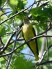 Filename=542_fotowilga~16.JPG
Filesize=315KB
Dimensions=525x700
Date added=Jun 19, 2019 542_fotowilga~16.JPG