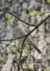 Filename=542_fotowilga~4.JPG
Filesize=81KB
Dimensions=386x540
Date added=Mar 23, 2014 542_fotowilga~4.JPG
