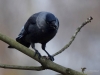Filename=543_fotowilga~16.JPG
Filesize=224KB
Dimensions=700x525
Date added=Feb 10, 2018 543_fotowilga~16.JPG