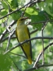Filename=543_fotowilga~18.JPG
Filesize=297KB
Dimensions=525x700
Date added=Jun 17, 2019 543_fotowilga~18.JPG
