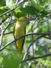 Filename=544_fotowilga~13.JPG
Filesize=291KB
Dimensions=525x700
Date added=Jun 14, 2019 544_fotowilga~13.JPG