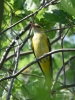Filename=546_fotowilga~15.JPG
Filesize=320KB
Dimensions=525x700
Date added=Jun 19, 2019 546_fotowilga~15.JPG