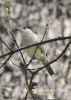 Filename=550_fotowilga~4.JPG
Filesize=74KB
Dimensions=386x540
Date added=May 18, 2014 550_fotowilga~4.JPG