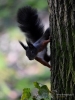 Filename=551_fotowilga~16.JPG
Filesize=265KB
Dimensions=525x700
Date added=Jun 12, 2018 551_fotowilga~16.JPG