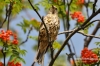 Filename=554_fotowilga~1.JPG
Filesize=108KB
Dimensions=720x480
Date added=May 21, 2014 554_fotowilga~1.JPG