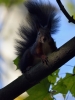 Filename=554_fotowilga~11.JPG
Filesize=238KB
Dimensions=525x700
Date added=Mar 14, 2018 554_fotowilga~11.JPG