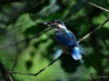 Filename=555_fotowilga~11.JPG
Filesize=258KB
Dimensions=700x525
Date added=Nov 26, 2017 555_fotowilga~11.JPG