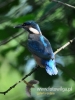 Filename=556_fotowilga~10.JPG
Filesize=76KB
Dimensions=360x480
Date added=May 08, 2016 556_fotowilga~10.JPG