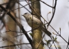 Filename=556_fotowilga~4.JPG
Filesize=99KB
Dimensions=720x514
Date added=Mar 20, 2014 556_fotowilga~4.JPG