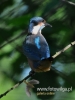 Filename=557_fotowilga~7.JPG
Filesize=71KB
Dimensions=360x480
Date added=Jun 10, 2015 557_fotowilga~7.JPG