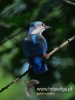 Filename=559_fotowilga~6.JPG
Filesize=68KB
Dimensions=360x480
Date added=Jun 23, 2015 559_fotowilga~6.JPG