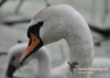 Filename=561_fotowilga~8.JPG
Filesize=87KB
Dimensions=640x457
Date added=Mar 03, 2015 561_fotowilga~8.JPG