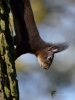 Filename=565_fotowilga~18.JPG
Filesize=239KB
Dimensions=525x700
Date added=Apr 01, 2018 565_fotowilga~18.JPG
