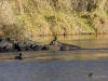 Filename=565_fotowilga~22.JPG
Filesize=387KB
Dimensions=700x525
Date added=Mar 24, 2019 565_fotowilga~22.JPG