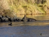 Filename=566_fotowilga~15.JPG
Filesize=354KB
Dimensions=700x525
Date added=May 09, 2019 566_fotowilga~15.JPG
