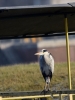 Filename=566_fotowilga~16.JPG
Filesize=238KB
Dimensions=525x700
Date added=Dec 05, 2019 566_fotowilga~16.JPG