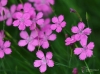 Filename=569_fotowilga~14.JPG
Filesize=261KB
Dimensions=700x519
Date added=Mar 29, 2018 569_fotowilga~14.JPG