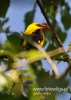 Filename=569_fotowilga~5.JPG
Filesize=74KB
Dimensions=343x480
Date added=Sep 27, 2015 569_fotowilga~5.JPG