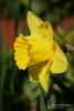 Filename=571_fotowilga~18.JPG
Filesize=173KB
Dimensions=474x700
Date added=Jan 21, 2018 571_fotowilga~18.JPG