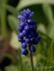 Filename=575_fotowilga~13.JPG
Filesize=221KB
Dimensions=534x700
Date added=Jan 21, 2018 575_fotowilga~13.JPG