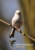 Filename=580_fotowilga~10.JPG
Filesize=62KB
Dimensions=336x480
Date added=Oct 04, 2015 580_fotowilga~10.JPG