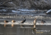 Filename=585_fotowilga~8.JPG
Filesize=139KB
Dimensions=640x452
Date added=Jan 24, 2016 585_fotowilga~8.JPG