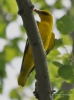 Filename=589_fotowilga~6.JPG
Filesize=234KB
Dimensions=520x700
Date added=Jan 23, 2019 589_fotowilga~6.JPG