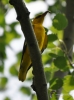 Filename=591_fotowilga~9.JPG
Filesize=223KB
Dimensions=519x700
Date added=Mar 23, 2018 591_fotowilga~9.JPG