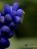 Filename=592_fotowilga~14.JPG
Filesize=218KB
Dimensions=525x700
Date added=Jan 21, 2018 592_fotowilga~14.JPG
