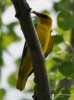 Filename=592_fotowilga~4.JPG
Filesize=220KB
Dimensions=520x700
Date added=Mar 29, 2018 592_fotowilga~4.JPG
