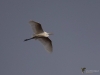 Filename=593_fotowilga~12.JPG
Filesize=174KB
Dimensions=700x525
Date added=Feb 24, 2018 593_fotowilga~12.JPG